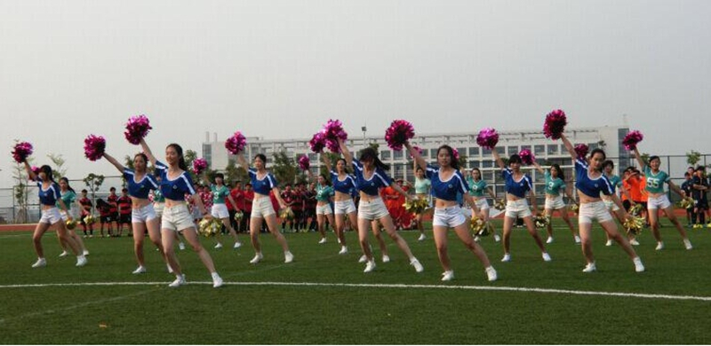 100%精准出码规律资料网站