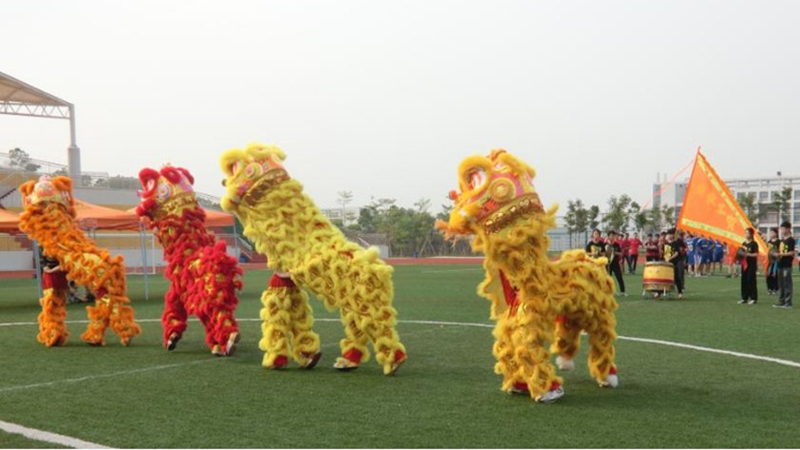 100%精准出码规律资料网站