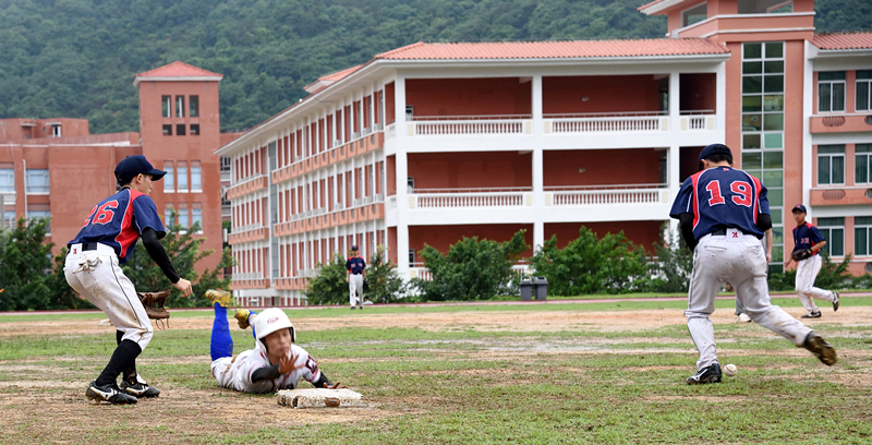 100%精准出码规律资料网站