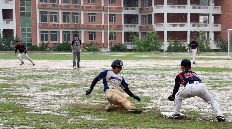 100%精准出码规律资料网站