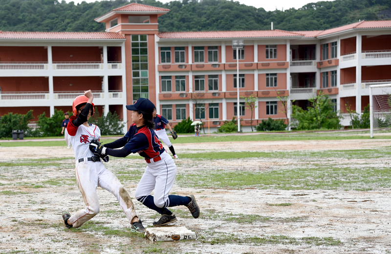 100%精准出码规律资料网站