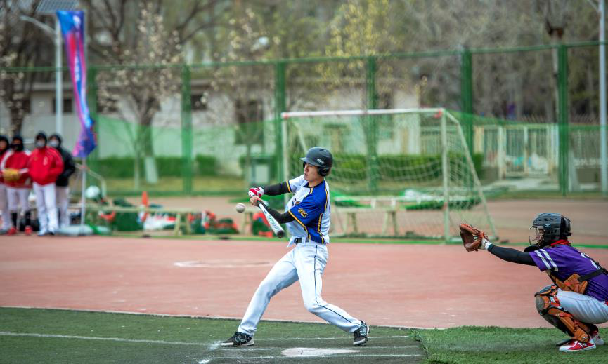 100%精准出码规律资料网站