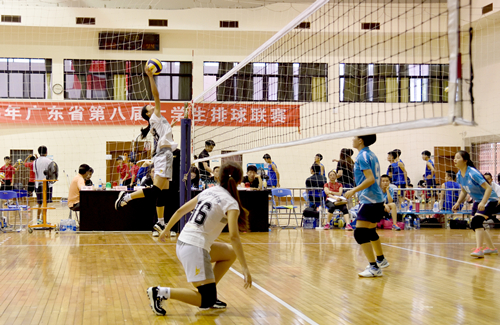 100%精准出码规律资料网站