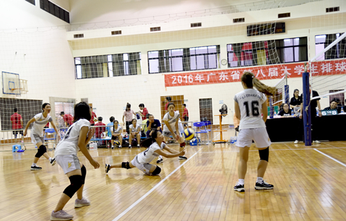 100%精准出码规律资料网站