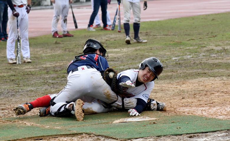 100%精准出码规律资料网站