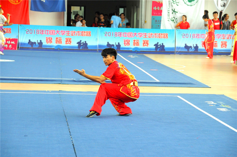 100%精准出码规律资料网站