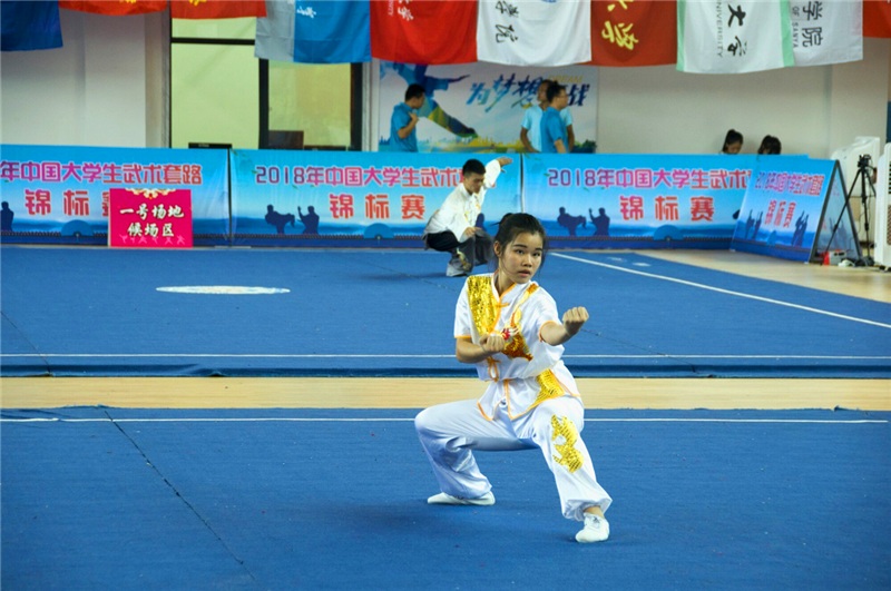 100%精准出码规律资料网站