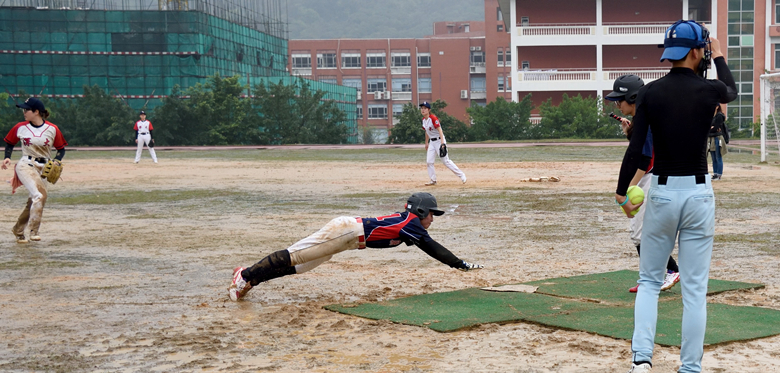 100%精准出码规律资料网站