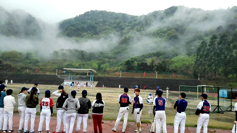 100%精准出码规律资料网站