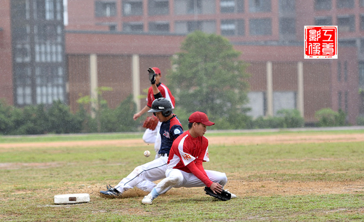 100%精准出码规律资料网站