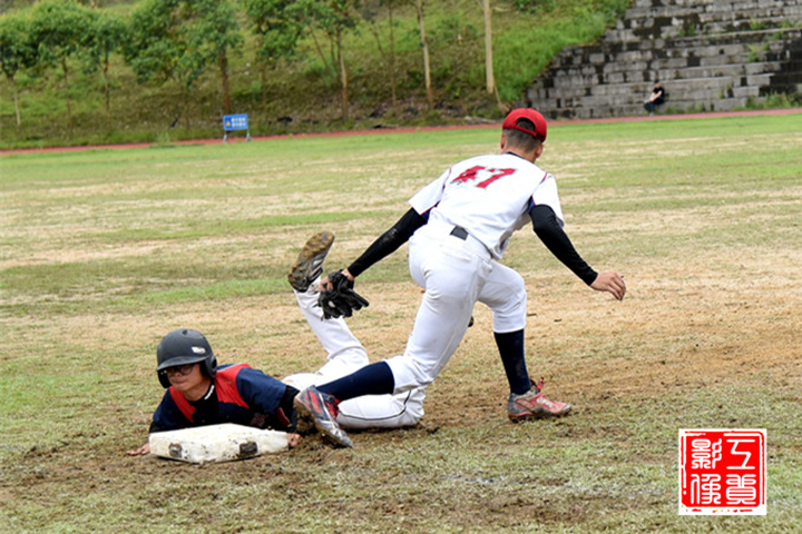100%精准出码规律资料网站
